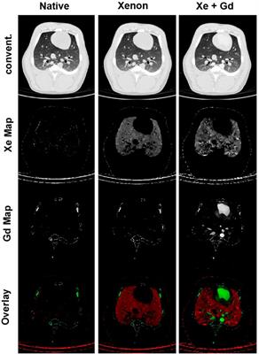 Lung function measurements in preclinical research: What has been done and where is it headed?